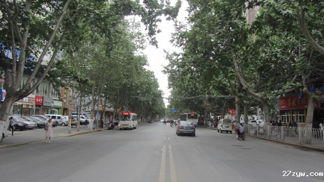浓浓树荫下的自强西路街道(612145)-20220613085549.jpg
