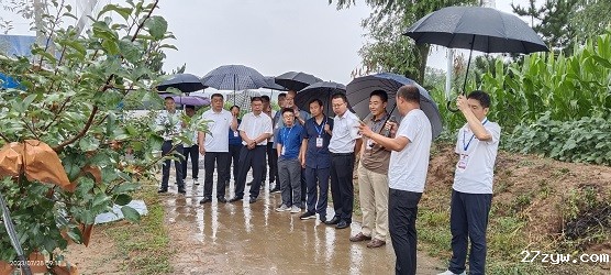 黄龙县政协调研全县苹果产业高质量发展工作(954310)-20230802085358.jpg