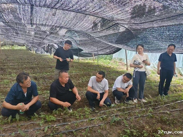 1757985225308839.jpg 张平:从土地里“种”出乡村振兴新希望_((1696253)-20250916091257.jpg